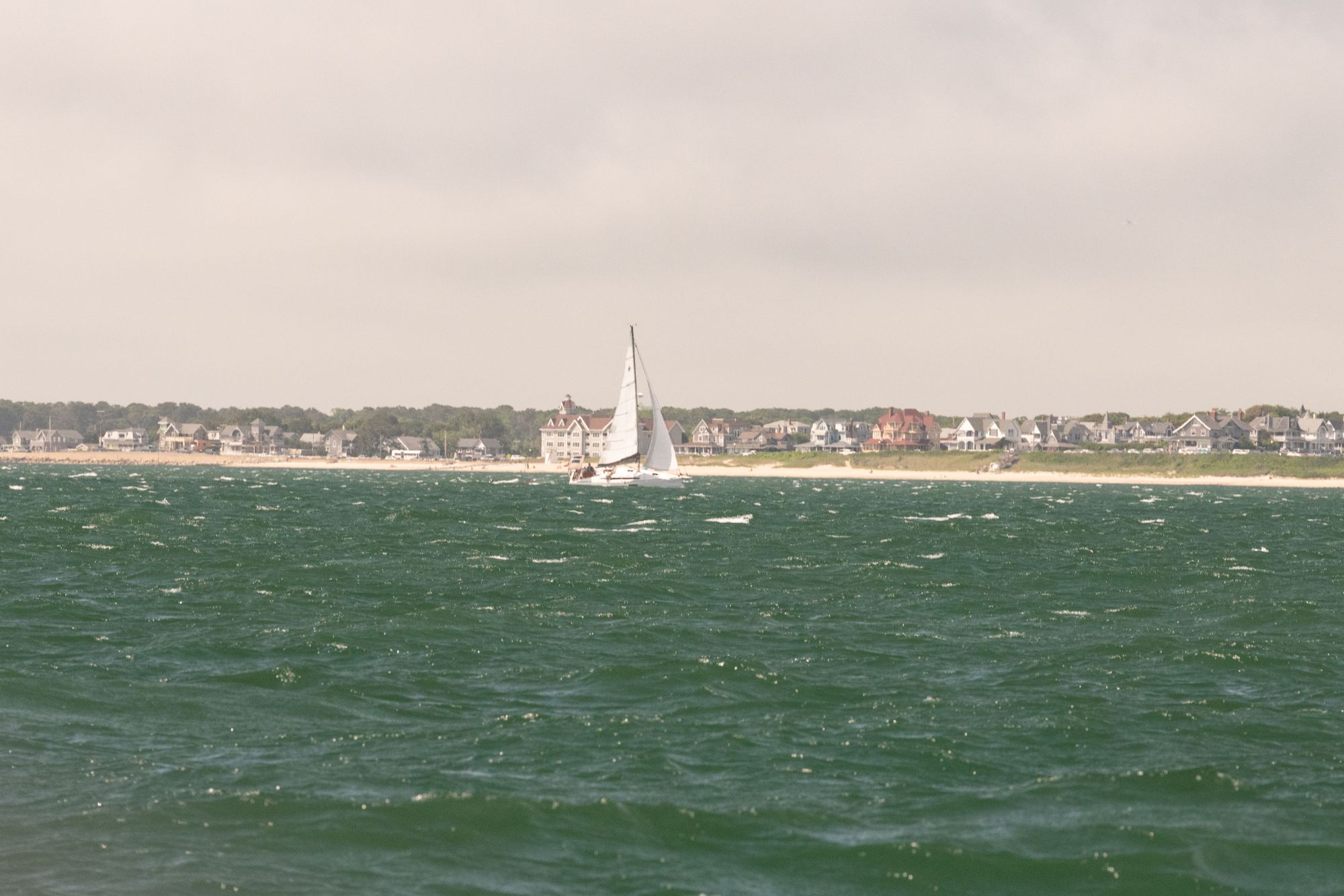 DSC 3791 5